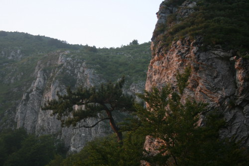 /Crovuri4/img_7015-j1.jpg