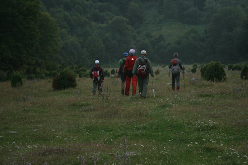 /Crovuri4/img_7018-j1.jpg