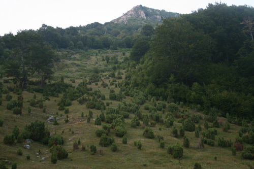 /Crovuri4/img_7021-j1.jpg
