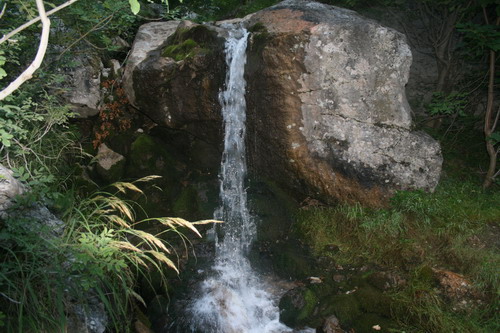 /Crovuri4/img_7034-j1.jpg