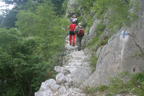 /Crovuri4/img_7036-j1.jpg