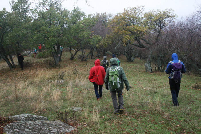 /Danita1/img_1199-cd.jpg