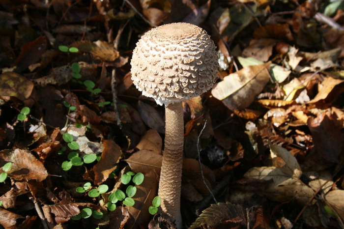 /Danita1/img_1265-cd.jpg