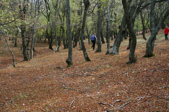 /Danita2/img_1331-cd.jpg