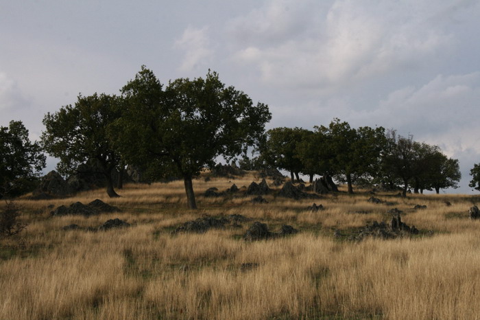 /Danita2/img_1515-cd.jpg