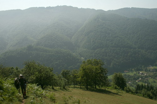 /Godeanu1/img_7470-lum-j5.jpg