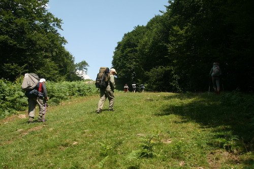 /Godeanu1/img_7484-j5.jpg