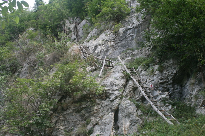 /Inelet/img_8425.jpg