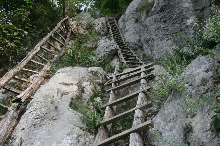 /Inelet/img_8436.jpg
