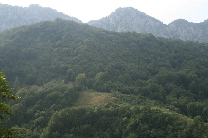 /Inelet/img_8441.jpg