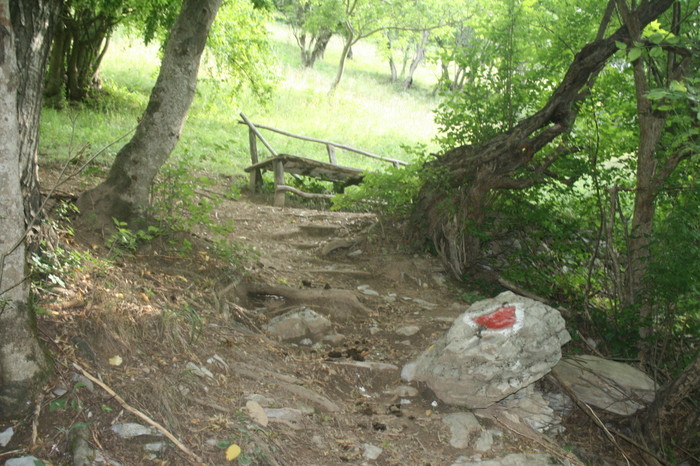 /Inelet/img_8443.jpg