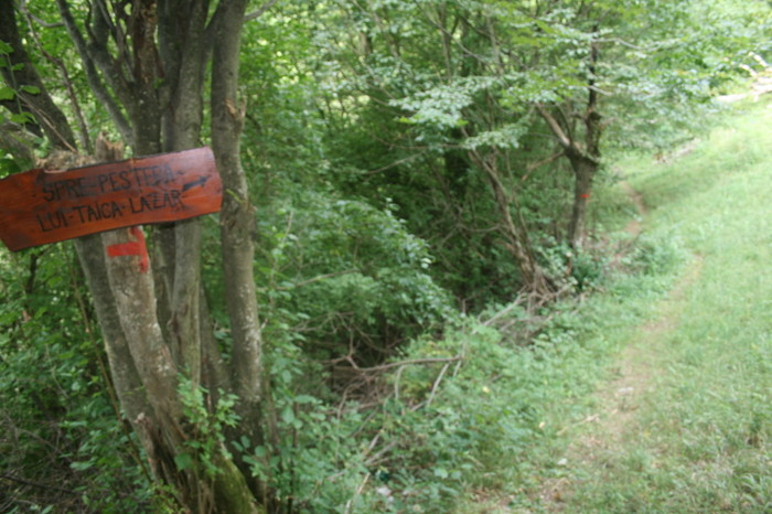 /Inelet/img_8446.jpg