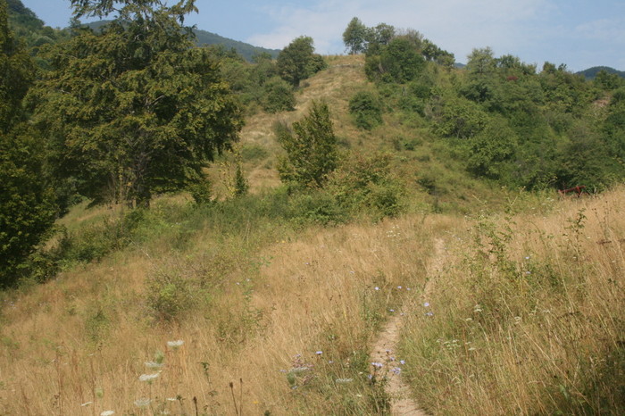 /Inelet/img_8465.jpg