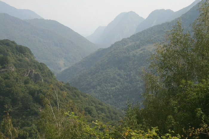 /Inelet/img_8468.jpg