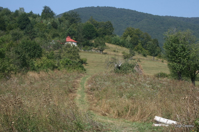 /Inelet/img_8487.jpg