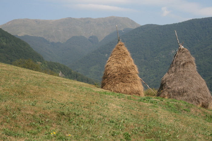 /Inelet/img_8497.jpg
