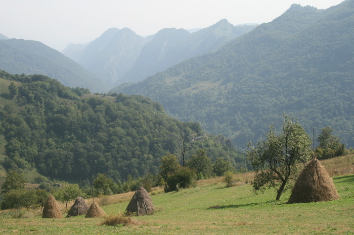 /Inelet/img_8498.jpg