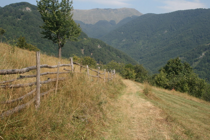 /Inelet/img_8506.jpg
