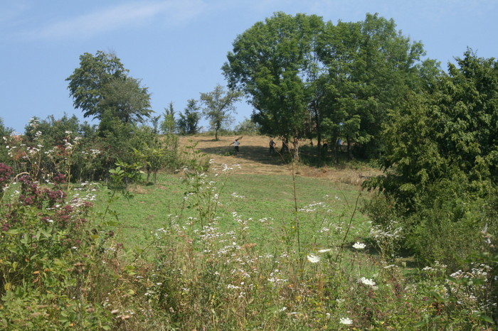 /Inelet/img_8523.jpg