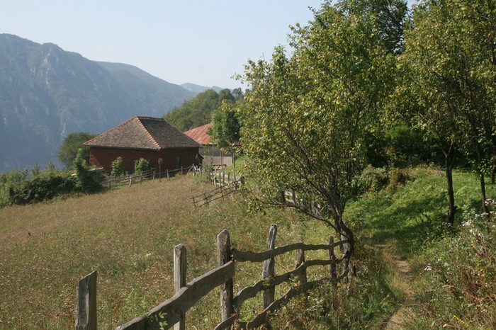 /Inelet/img_8525.jpg