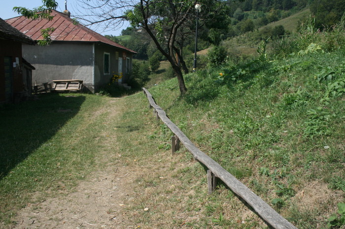 /Inelet/img_8529.jpg