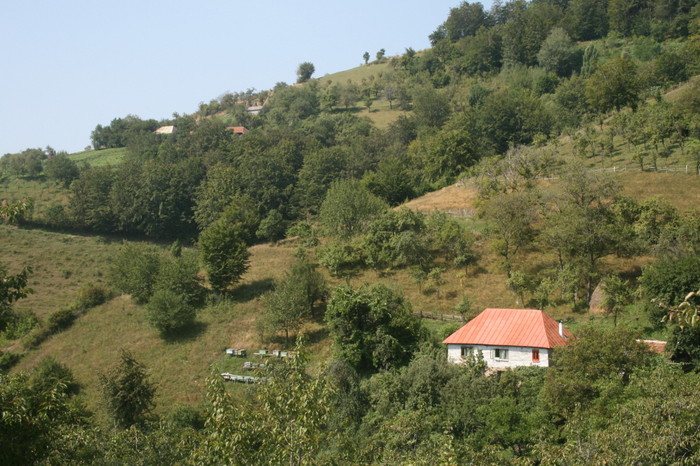 /Inelet/img_8537.jpg