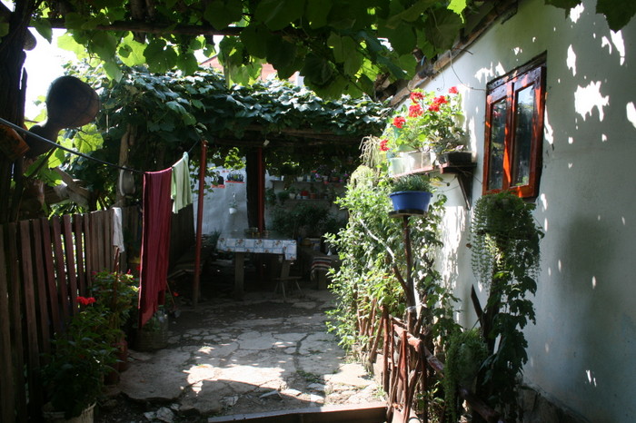 /Inelet/img_8547.jpg