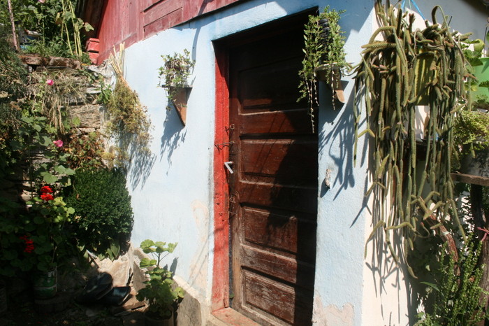 /Inelet/img_8550.jpg