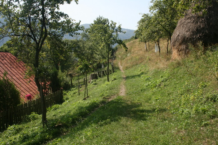/Inelet/img_8557.jpg