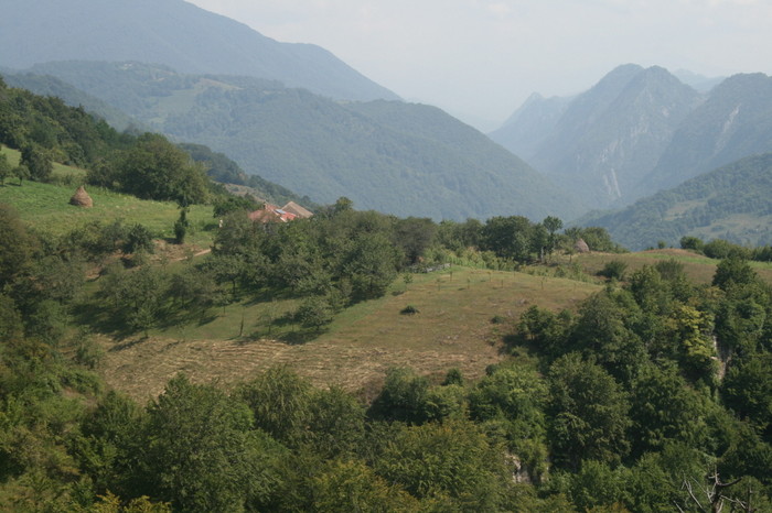 /Inelet/img_8568.jpg