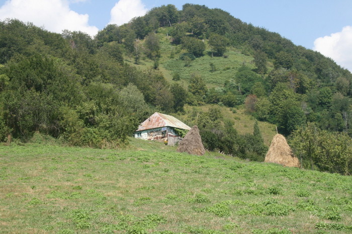 /Inelet/img_8574.jpg