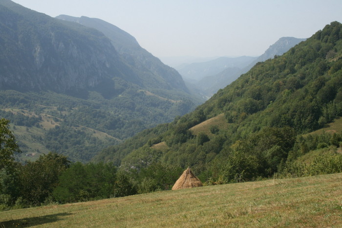 /Inelet/img_8581.jpg
