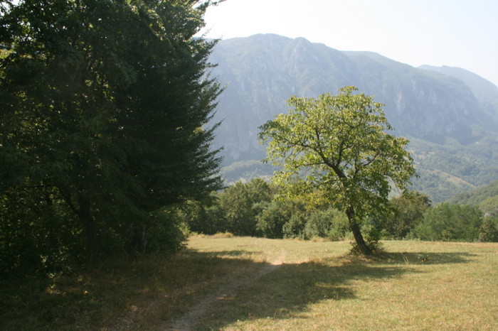/Inelet/img_8583.jpg