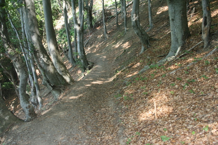 /Inelet/img_8593.jpg