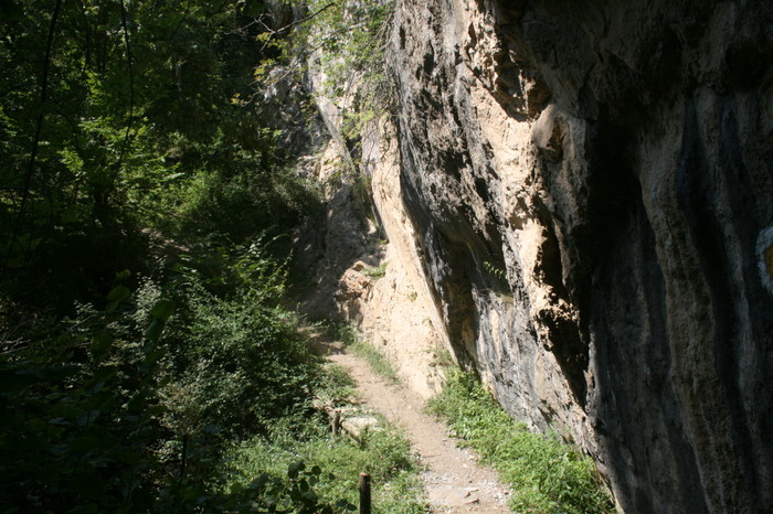/Inelet/img_8596.jpg