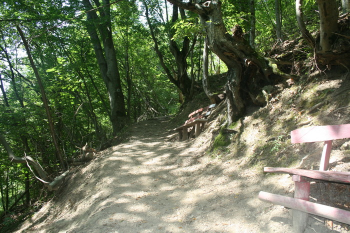 /Inelet/img_8602.jpg
