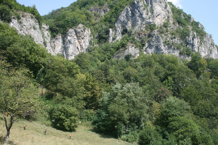 /Inelet/img_8609.jpg