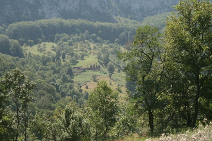 /Inelet/img_8614.jpg