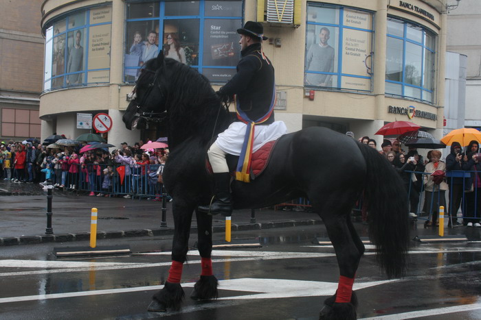 /Junii/img_4616-bf.jpg