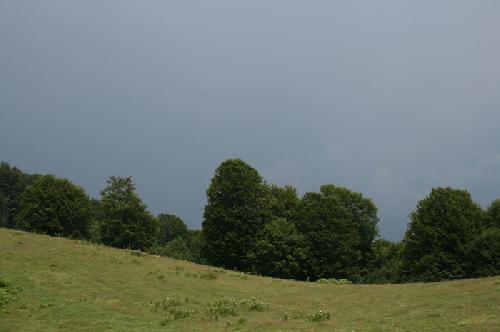 /Oslea/img_8118-j3.jpg