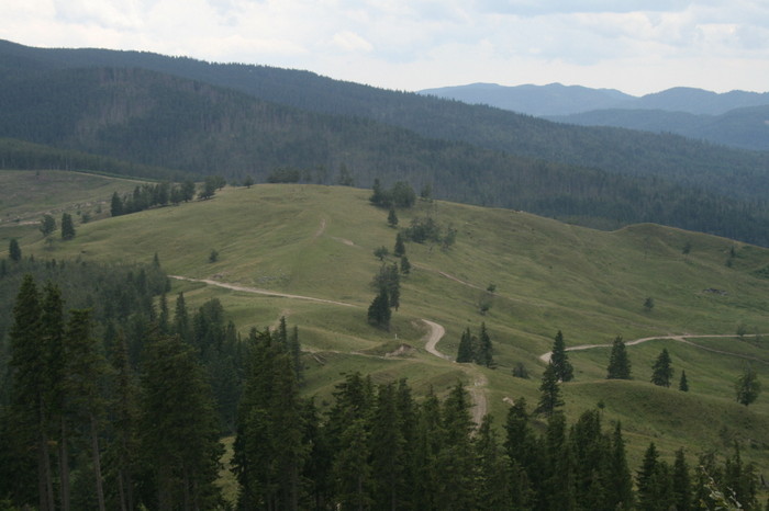 /Pietrosu/img_6353.jpg