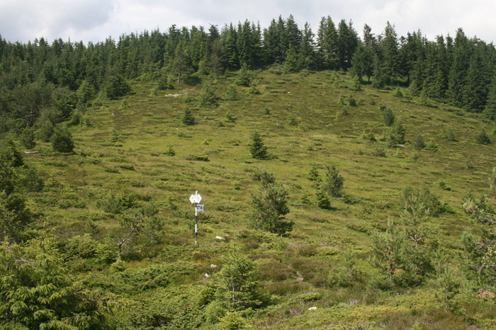 /Pietrosu/img_6365.jpg