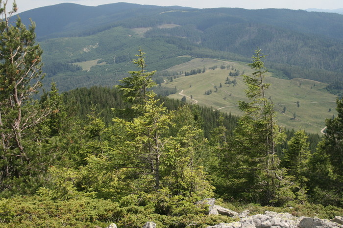 /Pietrosu/img_6371.jpg