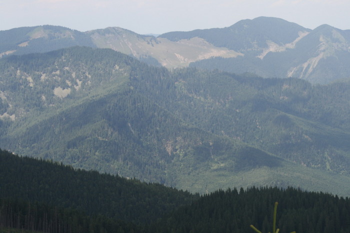 /Pietrosu/img_6391.jpg