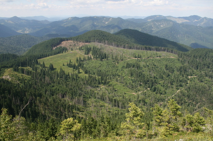 /Pietrosu/img_6403.jpg