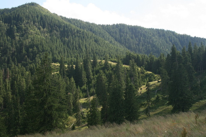 /Pietrosu/img_6483.jpg