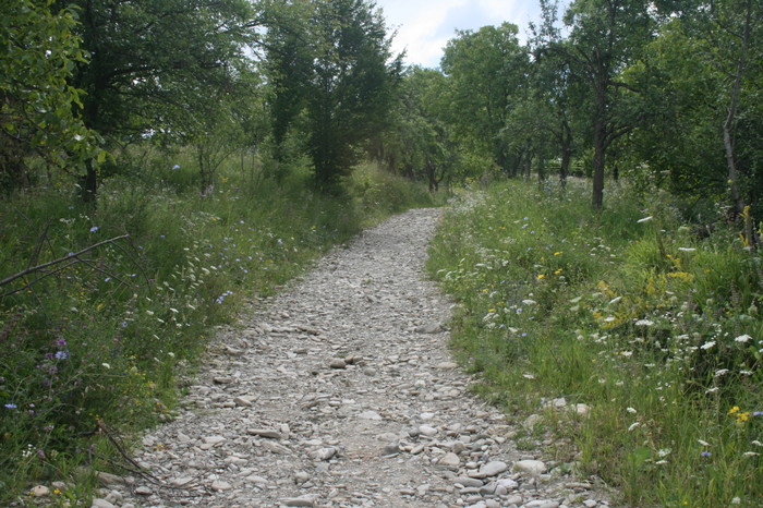 /Pietrosu/img_6506.jpg