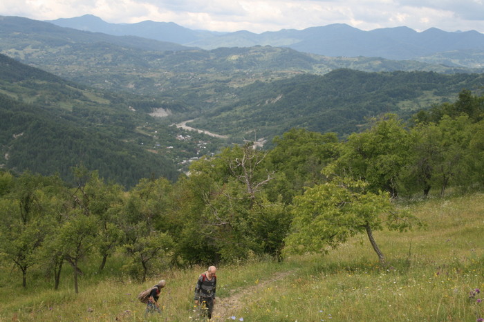 /Pietrosu/img_6528.jpg