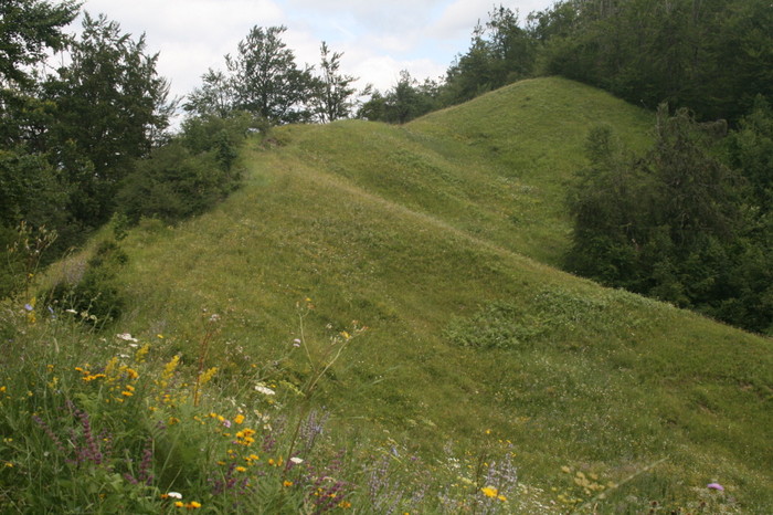 /Pietrosu/img_6541.jpg