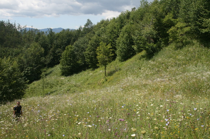 /Pietrosu/img_6548.jpg